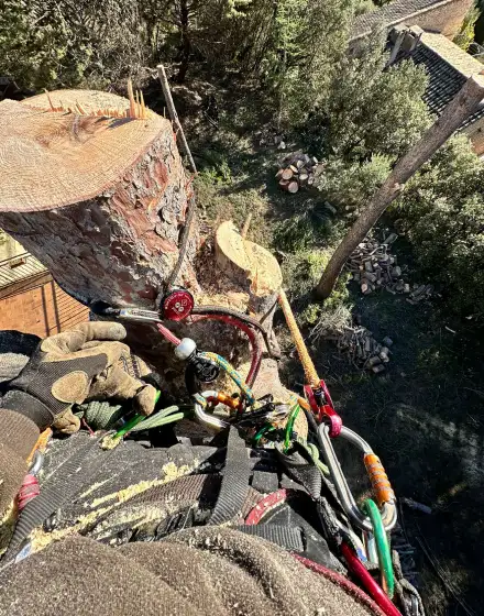 Le Bouscatier Fils Bois De Chauffage Salon De Provence Elagage Debroussaillage Le Bouscatier Fils Bois De Chauffage Salon De Provence Elagage Debroussaillage