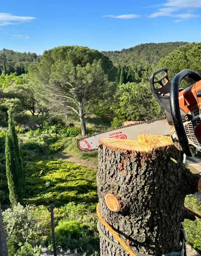 Le Bouscatier Fils Bois De Chauffage Salon De Provence Elagage Abattage Debroussaillage Le Bouscatier Fils Bois De Chauffage Salon De Provence Elagage Abattage Debroussaillage